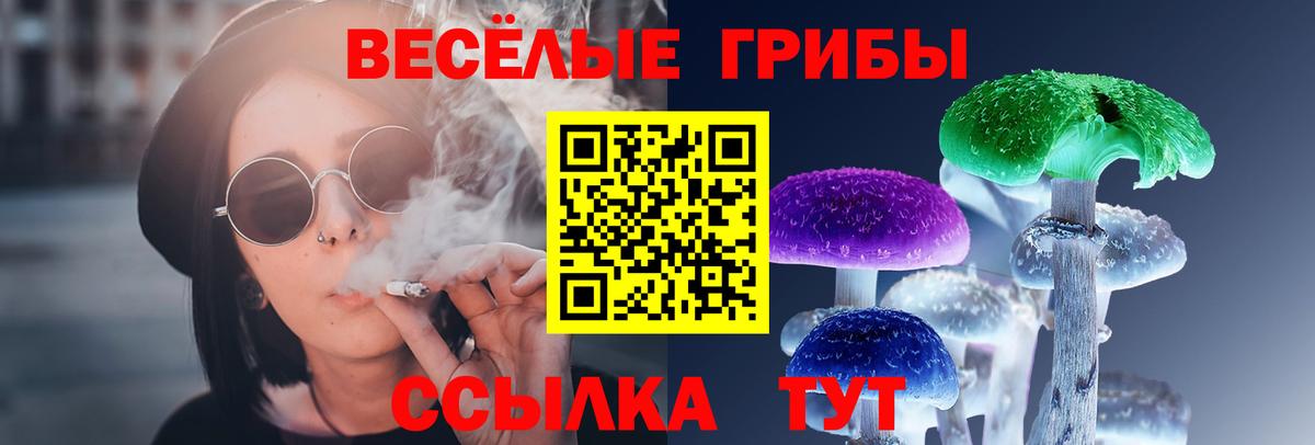 Галлюциногенные грибы Cubensis Пугачёв